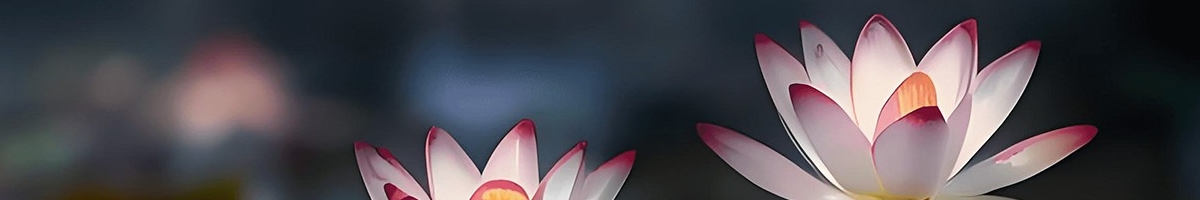 广告